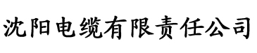 午夜电影网久久香蕉电缆厂logo